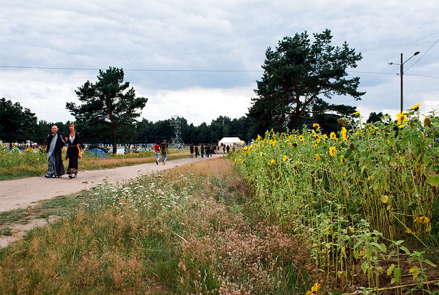 gal/woodstock 07/small-86640014.jpg